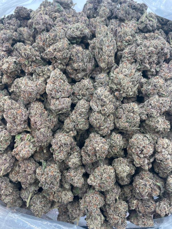 Ice Popz - 1 lb