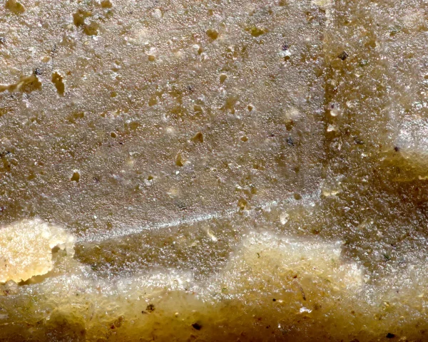 Grape OG — L.A. Mousse - Image 4