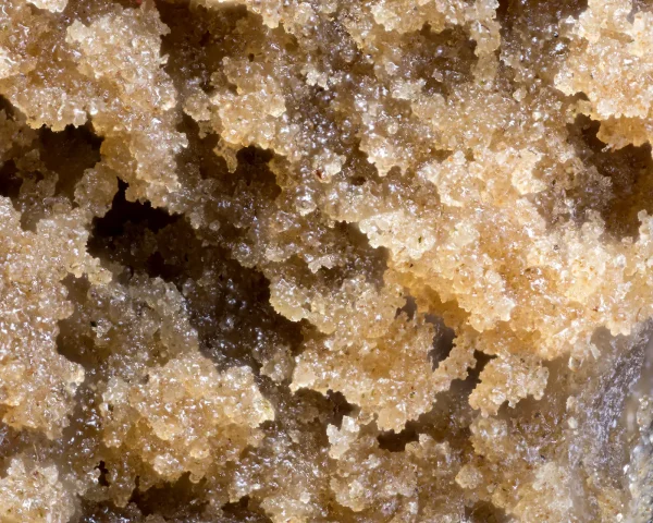Grape OG — L.A. Mousse - Image 3