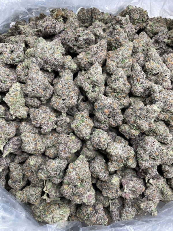 Connected - Gelato #41    Loose Flower