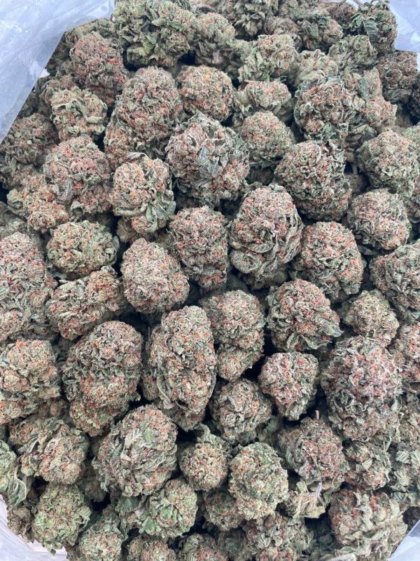 Red Runtz - 1 lb