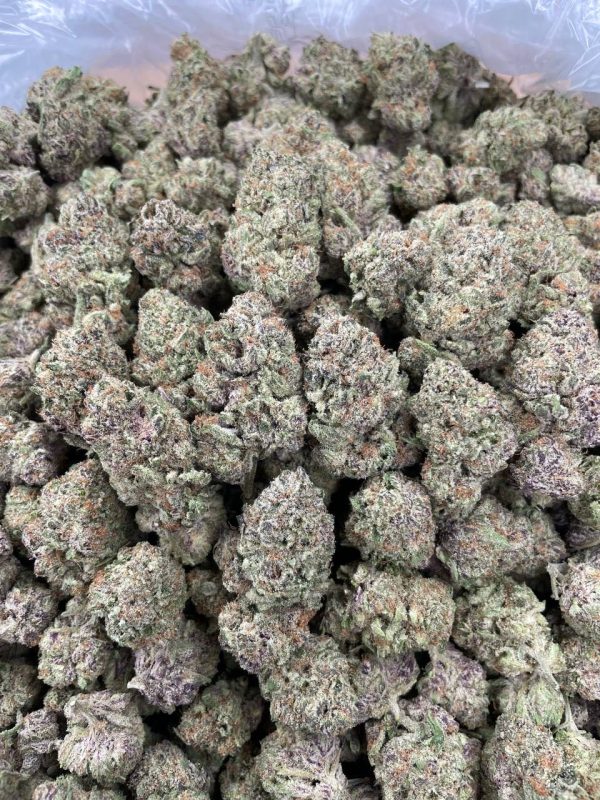 Purple Zkittlez - 1 lb - Image 2