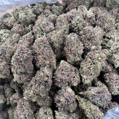 Oasis Crasher - 1 lb