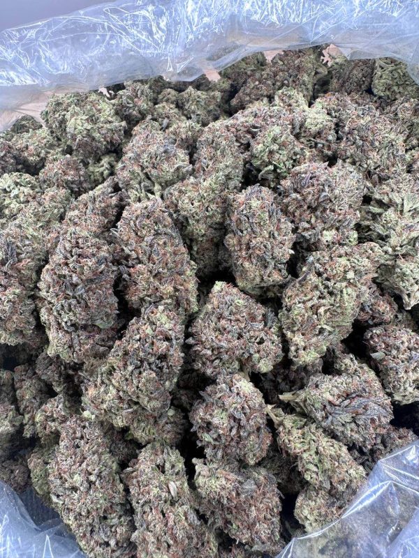 Oasis Crasher - 1 lb