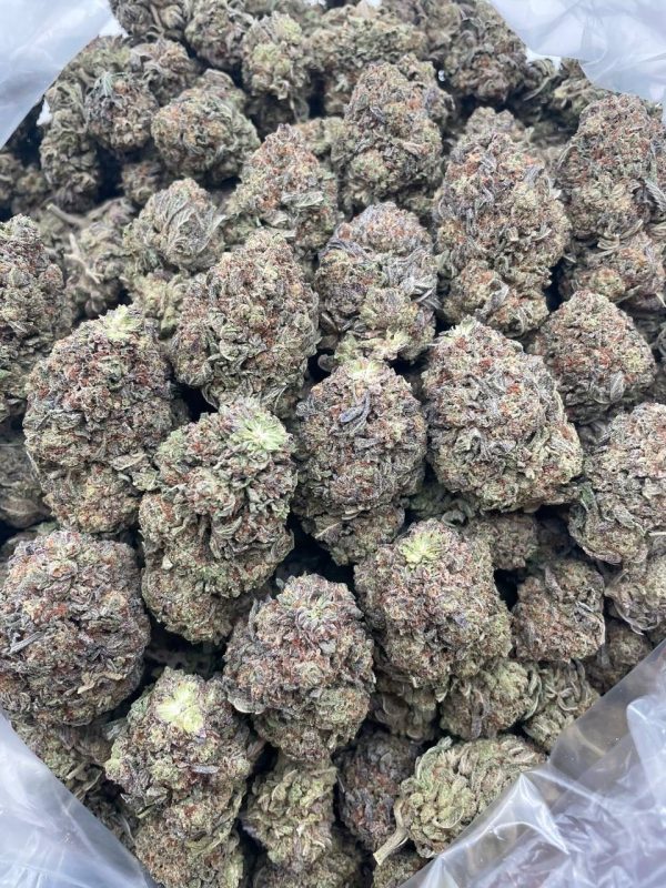 Zookies - 1 lb