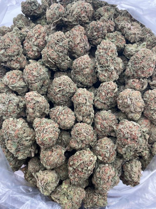 Super Fuel Gelato - 1 lb