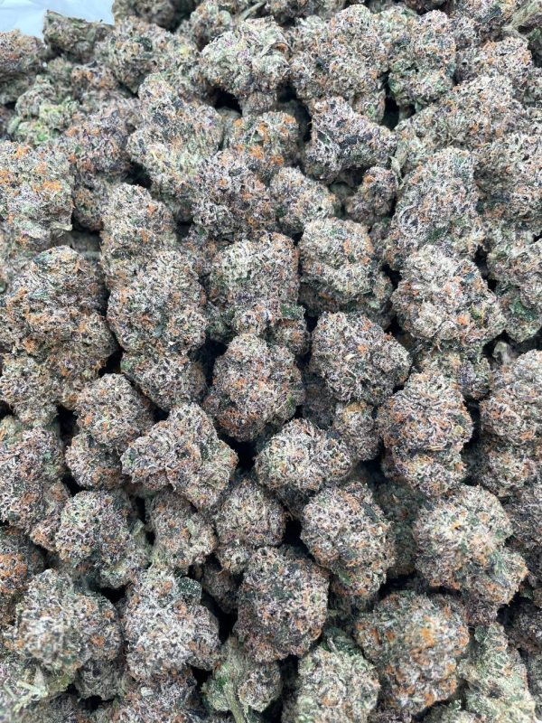 Candy Gushers - 1 lb