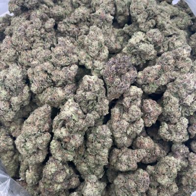 Purple Gush Mintz - 1 lb
