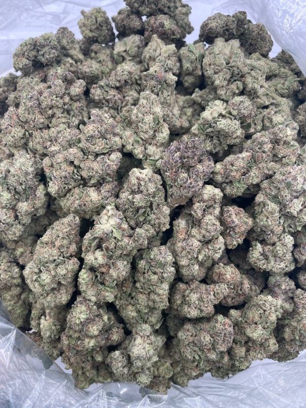 Purple Gush Mintz - 1 lb