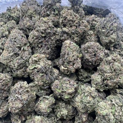 Jolly Rancher - 1 lb