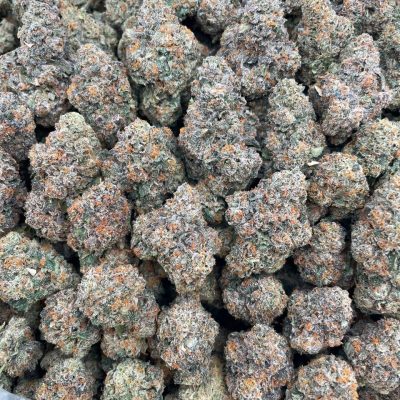 Gelato #41 - 1 lb
