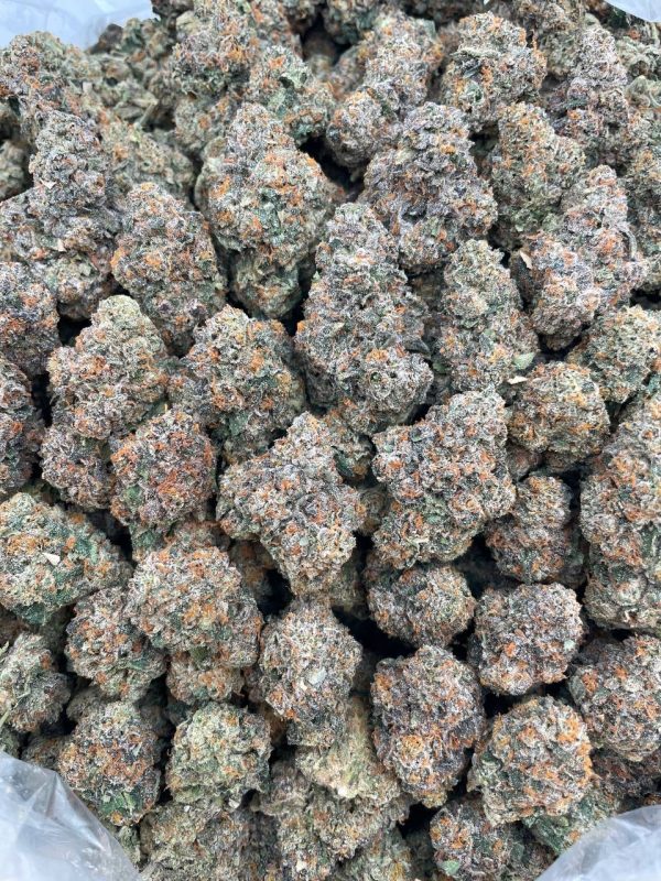Gelato #41 - 1 lb
