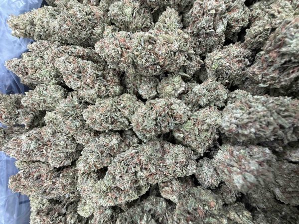 Apple Tartz - 1 lb